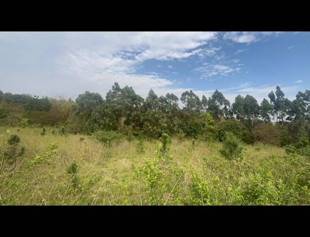 LAND FOR SALE IN ONGOYE